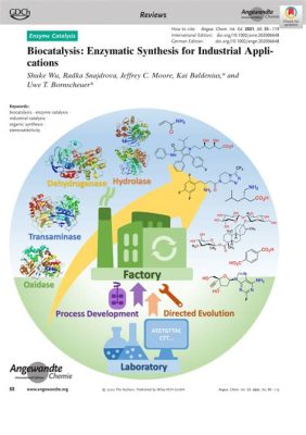 Lipase: Biocatalysis and Sustainable Synthesis Solutions for Industrial Applications!